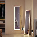 Standspiegel Flurspiegel 2 in 1 mit LED Ganzkörperspiegel Wandspiegel 3 Farben