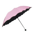 8 Ribs Regenschirm Mit Lotusblatt-Krempe Sonnenschirm Lotusblättern