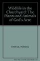 Wildlife In The Churchyard: The Plants and Animals of God's Acre,Francesca Gree