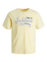 Jack & Jones Jungen T-Shirt Gr. 128-176 JJELOGO TEE NECK 2 COL 23/24 JNR