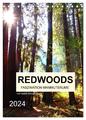 Isabel Bürschgens | Redwoods - Faszination Mammutbäume (Tischkalender 2024...