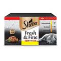 Sheba Drobiowe Smaki Sauce 50x50g Futter für Katzen