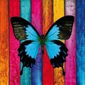 4 Servietten - Schmetterling PPD Papillon in Love 33 x 33 B08