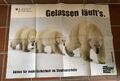 „Gelassen Läufts“ Verkehrssicherheit, Eisbären-Poster