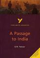 A Passage to India: York Notes Advanced by E. M. Forster 0582414628