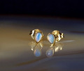 Ohrringe Gold 333 Opal zierlich - elegant & wunderbar schimmernd