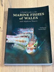 Ein Feldführer zu den Meeresfischen von Wales und angrenzenden Gewässern von Paul Kay, Dr.