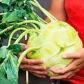 30+Samen "Kohlrabi Gigant" Samenfes Kohlrabi Superschmelz weicher Riesenkohlrabi