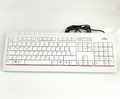 Fujitsu KB521 USB DE Tastatur QWERTZ beige Hellgrau weiß Kabelgebunden Office