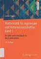 Mathematik für Ingenieure und Naturwissenschaftler Band 1: Ein L