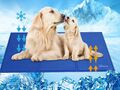 Hunde Kühlmatte Selbstkühlendes Gel Pad Kühlmatte Ungiftig Abkühlung 90x50cm