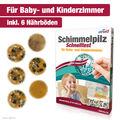 Schimmeltest zur Bestimmung der Schimmelpilzbelastung in Baby- und Kinderzimmer 