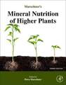 Marschner's Mineral Nutrition of Higher Plants Marschner, Horst Buch