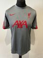 Nike Liverpool Trainingshemd AXA grau 2020-2021 Breathe Strike Größe Medium Herren