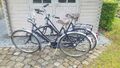 Fahrrad Cityrad Hollandrad Bike Citybike Gazelle