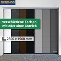 ✓ Hörmann Sektionaltor Woodgrain 2500 x 1900 mm, Garagentor-Set M-Sicke