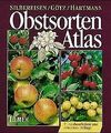 Obstsorten-Atlas. Kernobst, Steinobst, Beerenobst, Schal... | Buch | Zustand gut