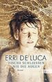 Fische schließen nie die Augen von De Luca, Erri | Buch | Zustand gut