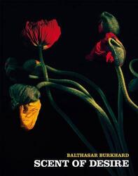 Balthasar Burkhard: Duft der Begierde von Balthasar Burkhard (englisch) Taschenbuch Bo