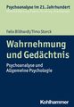 Wahrnehmung und Gedächtnis: Psychoanalyse und Allgemeine Psychologie (Psych ...