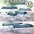 Dragon PET PLAZA Faunabox  Kunststoff Terrarium Faunarium 