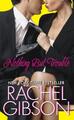 Nothing But Trouble Rachel Gibson Taschenbuch 354 S. Englisch 2010 HarperCollins