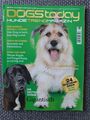 Dogs Today November & Dezember 6/2010 Hunde Trend Magazin