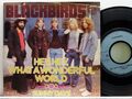 Blackbirds -Hey,Hey,What A Wonderful World/Sunny Days  D-1974  Metronome M25 560