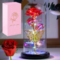 LED Ewige Rose im Glas für Frauen Rose Geschenk,Ewige Rose Ornament mit Licht