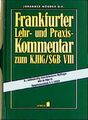 Frankfurter Lehr- und Praxiskommentar zum KJHG/SGB VIII. Stand: 1.1.1999