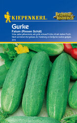 Salatgurke * Fatum * MHD 01/27 Schälgurken Riesen Schäl Kiepenkerl Samen 374