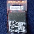 2002 Chaos Lord Champion of Chaos Undivided Exalted Hero 2 Zitadelle Warhammer Neu im Karton