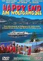 Happy End am Wolfgangsee von Franz Antel | DVD | Zustand gut