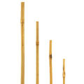 bellissa - Bambusstäbe, Bambusstangen, Rankstab - Diverse Höhen / Ø variiert