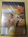 Im Königreich der Raubkatzen - Cats of Prey (DVD) NEU; OVP