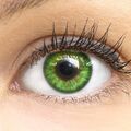 GLAMLENS Farbige grüne Kontaktlinsen mit & ohne Stärke weich grün Fresh Mint