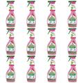 7,11EUR/1l 12 x Frosch Himbeer-Essig Kalkreiniger Anti-Kalk Reinigung 500ml