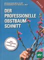 Böck: Der professionelle Obstbaumschnitt mit Vermehrung & Veredelung Handbuch