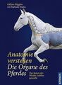 Anatomie verstehen - Die Organe des Pferdes: Das In... | Buch | Zustand sehr gut
