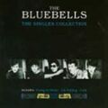 the Bluebells - Best of
