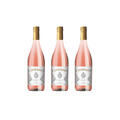 3 Flaschen Doppio Passo Primitivo Rosato Puglia IGT Roséwein 12% vol. 0,75l 