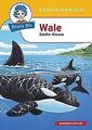Benny Blu Wale: Sanfte Riesen | Buch | Zustand sehr gut