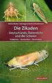 Die Zikaden Deutschlands, Österreichs und der Schweiz | Buch | 9783494016481