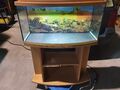 Aquarium 40x80x32/27cm Glasbecken mit gebogener Frontscheibe Glasaquarium