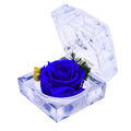 Konservierte Infinity Rose Muttertag Valentinstag Rosenbox Geburtstag Geschenk