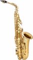 Alt Saxophon Sax Saxofon Es Stimmung Koffer Mundstück Blättchen klar lackiert