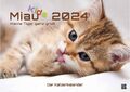 Miau Kids - kleine Tiger ganz groß - Katzenkalender - 2024 - Kalender DIN A3