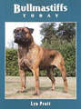 Bullmastiffs heute (Buch der Rasse S), Pratt, Lyn, gutes Buch