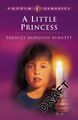 A Little Princess: The Story of Sara Crewe (Puffin Classics) Burnett, Frances Ho