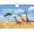 Giraffenzauber DIN A5 Wandkalender für 2025 Giraffen - Seelenzauber